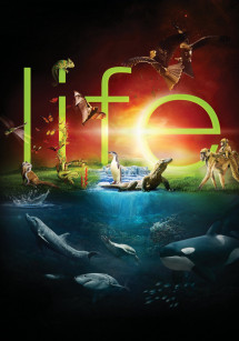 Cuộc Sống Hoang Dã - BBC: Life (2009)